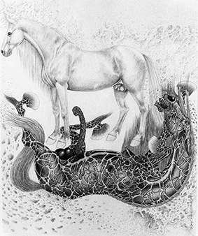 Black and White by OTGO 2005, pencil on paper 30 x 24 cm