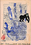 1885 OTGO Monkey 2022 Berlin Studio 033