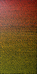 88888888 - 3 by OtGO 2025-2026, consists of 8 equal-sized single paintings, acryl on canvas, 200 x 800 cm. each measuring 200 x 100 cm